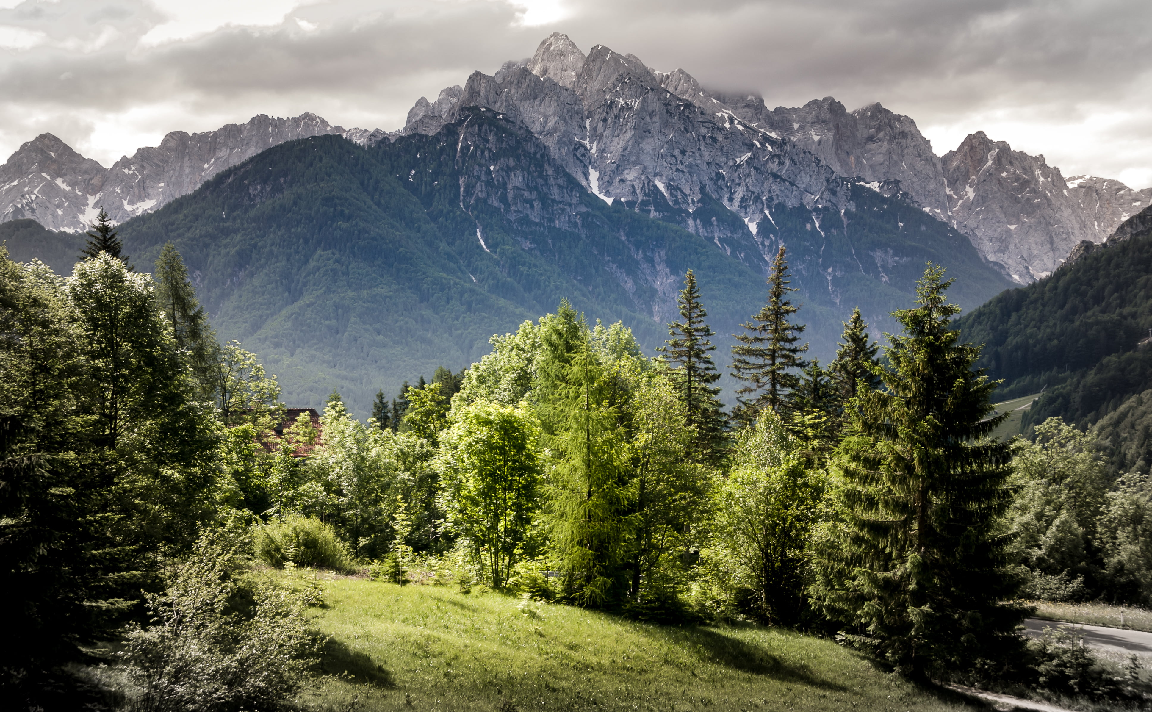 Фото лес и горы. Хребет Шварцвальд Альпы. Рача Грузия хвойный лес. Лес Форест красная Поляна. Широколиственные леса Швейцарии.