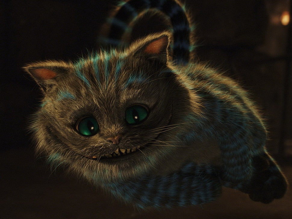 gray kitten illustration, Alice in Wonderland, cat, smiling, flying HD wallpaper