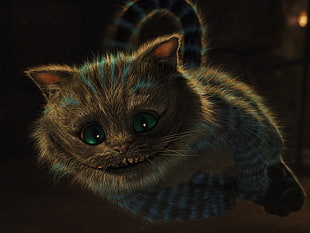 gray kitten illustration, Alice in Wonderland, cat, smiling, flying