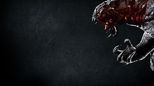 gray monster digital wallpaper, black, Evolve