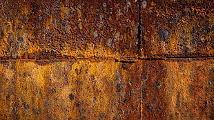 shallow focus of brown wall