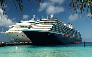 blue and white cruise ship, cruise ship, vehicle, ship HD wallpaper