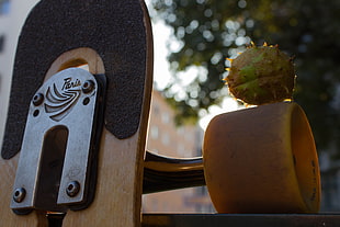 brown Paris skateboard, longboard, fall, Paris, longboarding