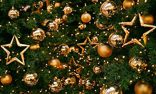 star brass Christmas tree decor HD wallpaper