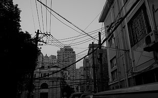 grayscale photo of buildings, Shanghai, cityscape, city