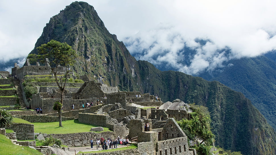 Machu Picchu Peru, Machu Picchu HD wallpaper