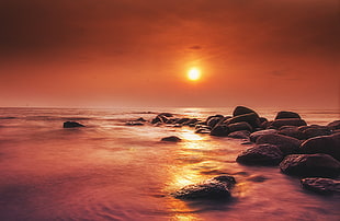 rocky shore under golden sun at the horizon