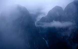 men's black shirt, landscape, nature, mountains, mist HD wallpaper