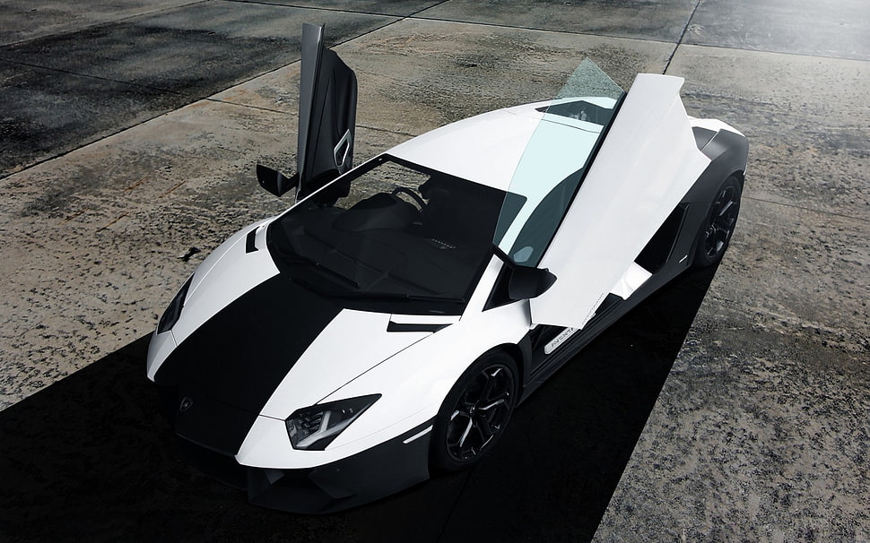 white and black Lamborghini sports coupe parked on gray concrete pavement during daytime HD wallpaper