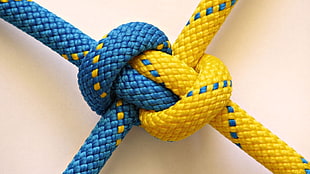 blue and yellow ropes, blue, yellow, knot, ropes