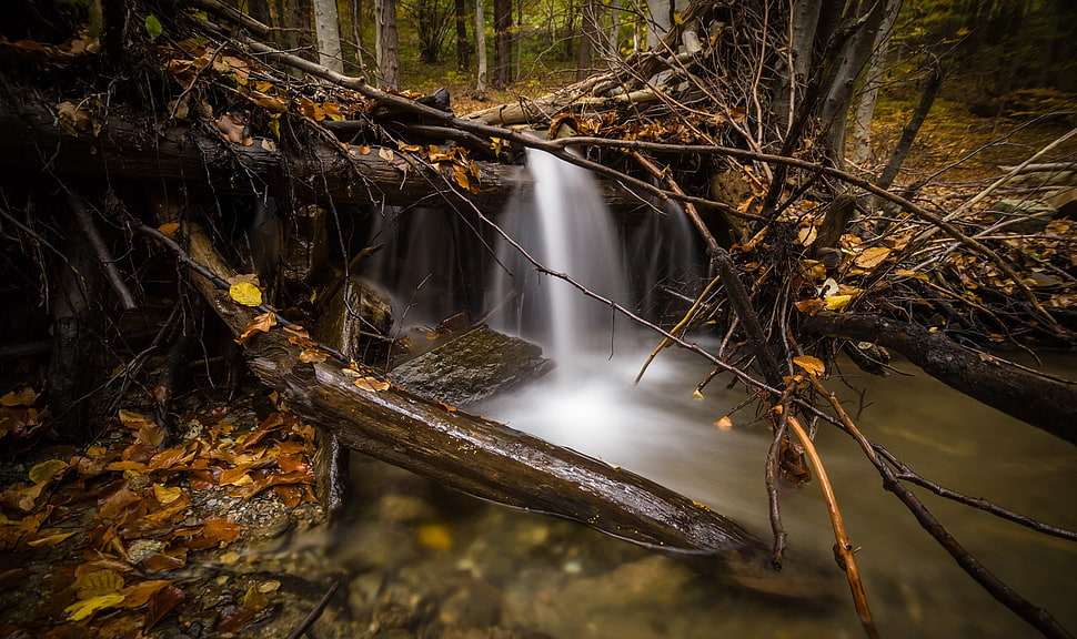 time lapse photo of river and between trees HD wallpaper