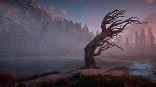 bare tree, Horizon: Zero Dawn, PlayStation 4