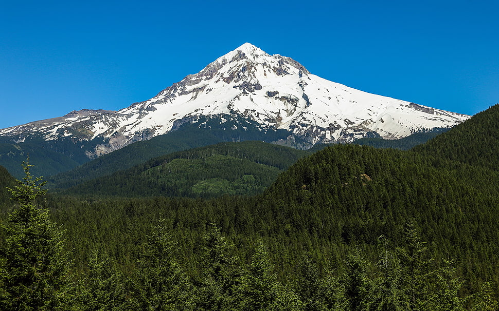 alps mountain, photography, nature, landscape, snowy peak HD wallpaper