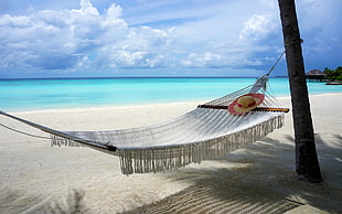 white knit hammock, beach, Maldives, island, nature