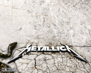 Metallica text, Metallica , heavy metal, metal, thrash metal HD wallpaper