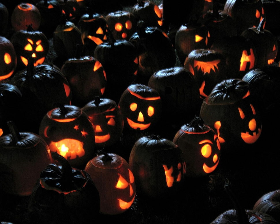 pumpkin head decors HD wallpaper