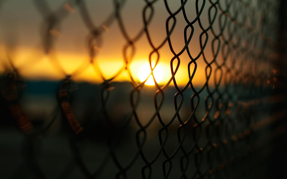 gray chain link fence, fence, Sun, macro, blurred HD wallpaper