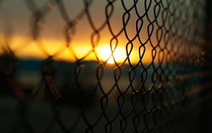 gray chain link fence, fence, Sun, macro, blurred