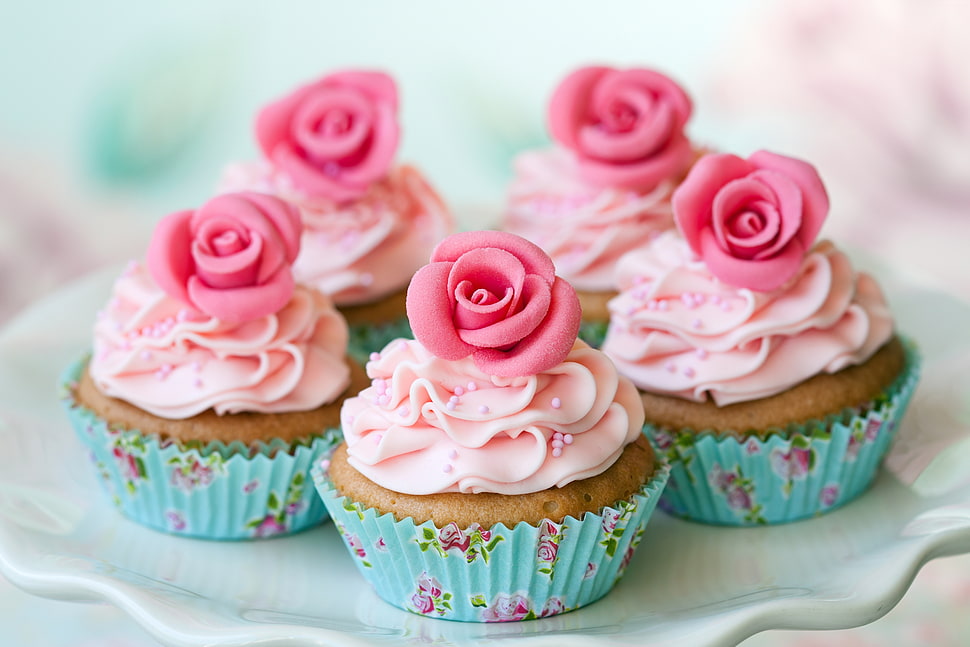 five cupcake with pink icings HD wallpaper