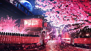 pink leafed tree, anime, sakura (tree), road