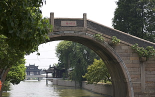 brown arch bridge with trees