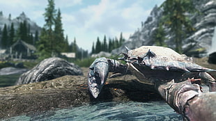 black crab, The Elder Scrolls V: Skyrim, crabs, selfies, video games