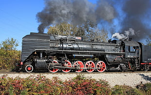 black locomotive train, steam locomotive