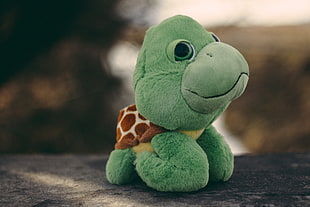green turtle plush toy HD wallpaper