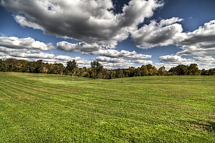 green grass meadow surrounded with trees under cloudy sky