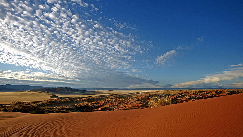landscape photography of desert during daytime HD wallpaper