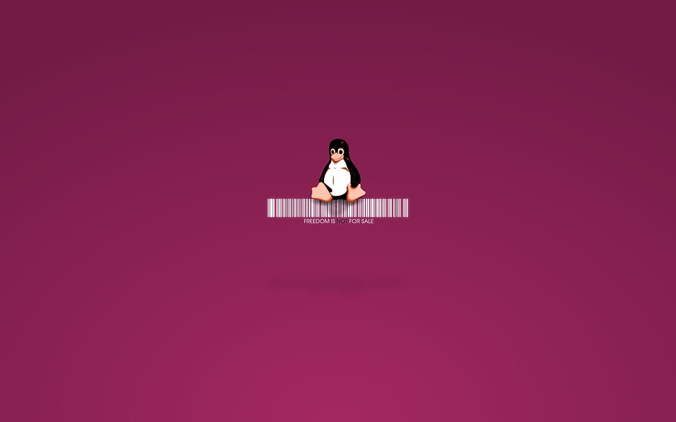 Penguin illustration HD wallpaper