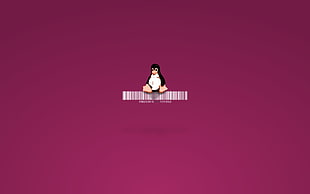 Penguin illustration