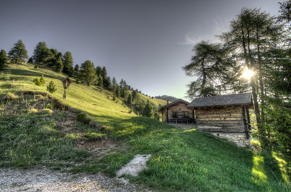 brown wooden house, Structure, Grass, Trees HD wallpaper