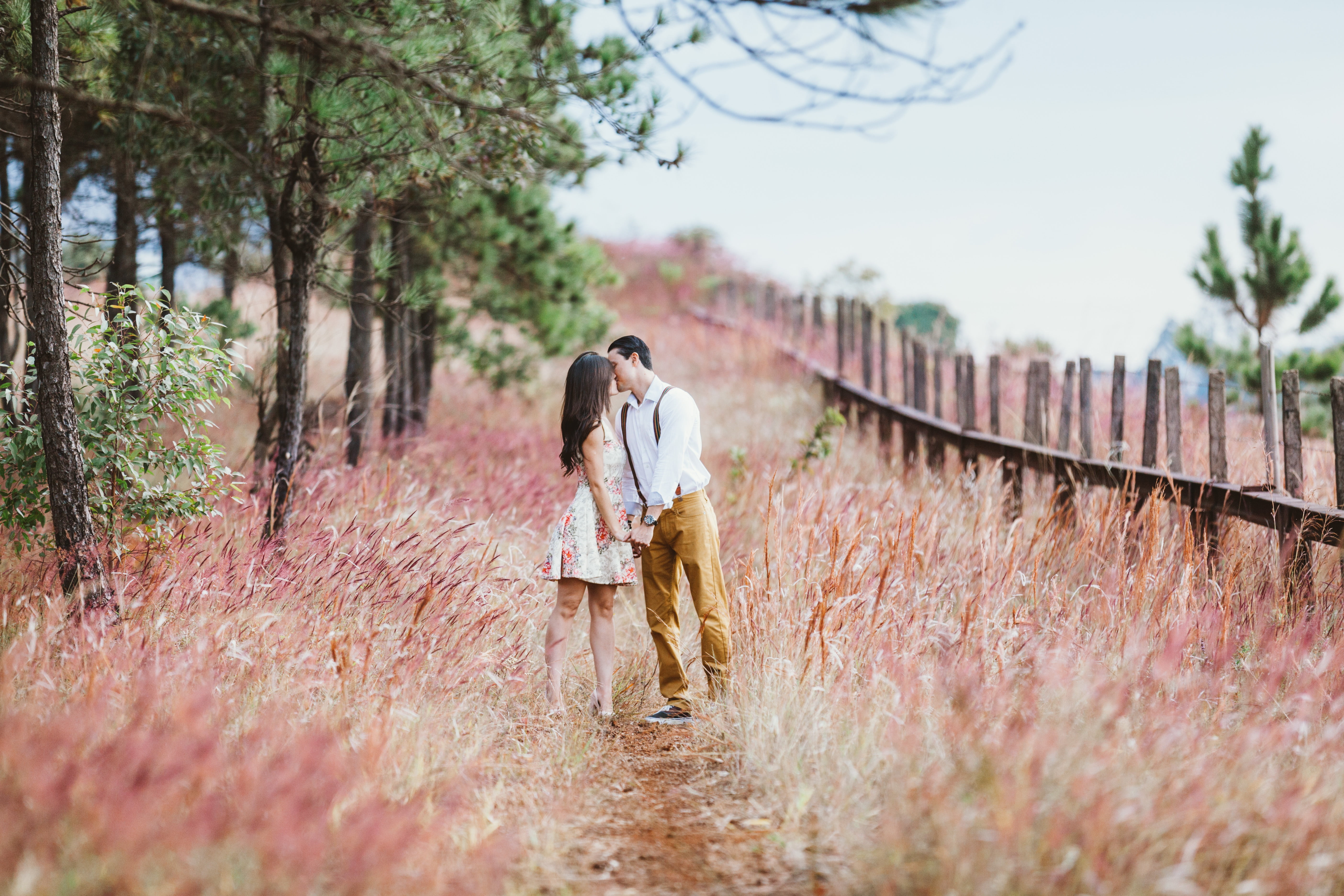 couple kissing beside green trees and fence