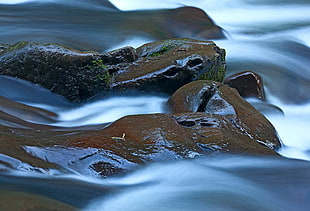 brown and black stones on river banks time lapse photography