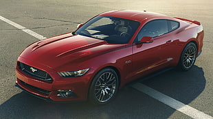 red Ford Mustang coupe, car, Ford Mustang, coupe, muscle cars