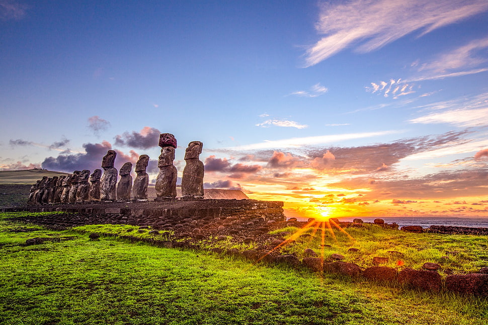 Green gras, Moai, Easter Island, statue, Chile HD wallpaper | Wallpaper  Flare