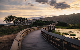 brown wooden bridge