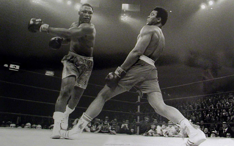 Muhammad Ali, Muhammad Ali, monochrome, sport , boxing HD wallpaper