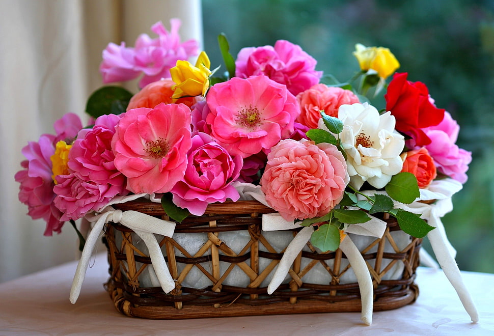 rattan basket full of flowers HD wallpaper