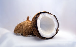 brown coconut HD wallpaper