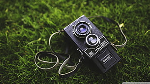 black Lubitel camera, vintage, grass