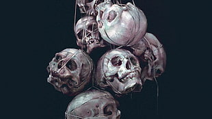 human skull lot