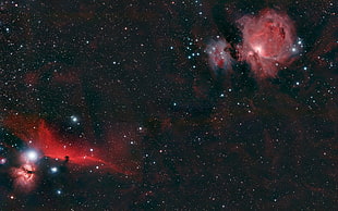 red and black nebula graphic wallpaper, Orion, space, stars, red