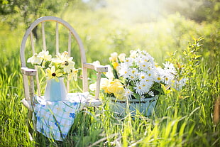 white Daisy flower in baskets beside brown wooden armchair