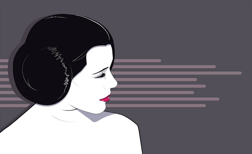 geisha illustration, artwork, Star Wars, Princess Leia, Craig Drake HD wallpaper