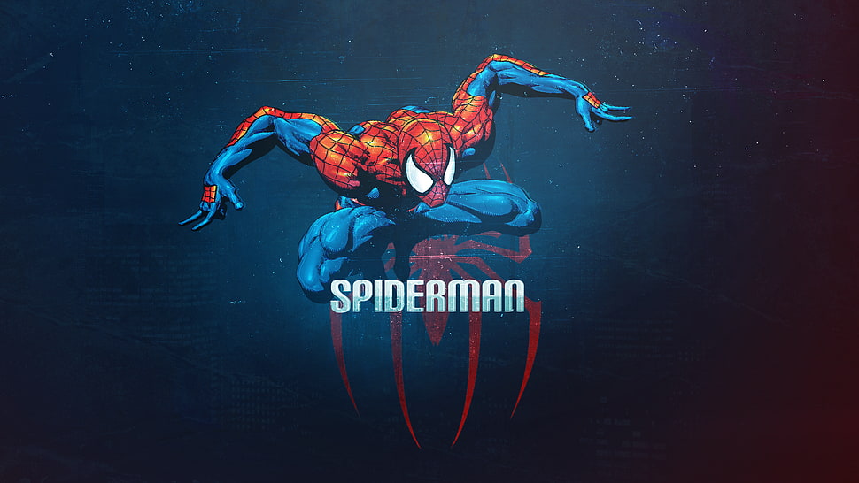 Spider-Man wallpaper HD wallpaper