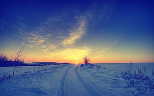 snow road, nature, snow, winter, landscape