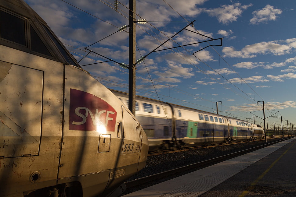 white SNCF train, train station, train, TGV, sunset HD wallpaper