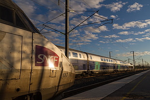 white SNCF train, train station, train, TGV, sunset HD wallpaper